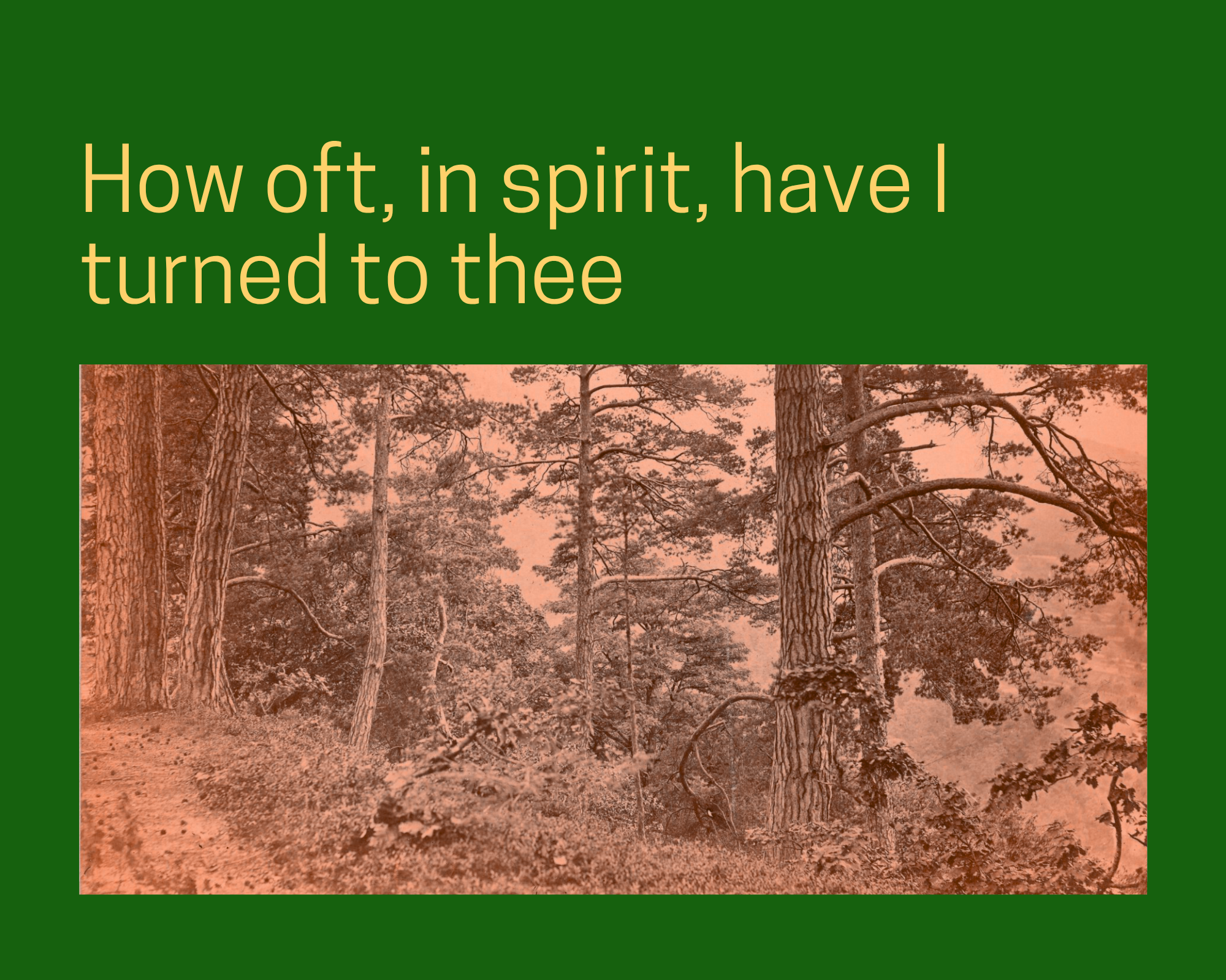 Reading the Natural World